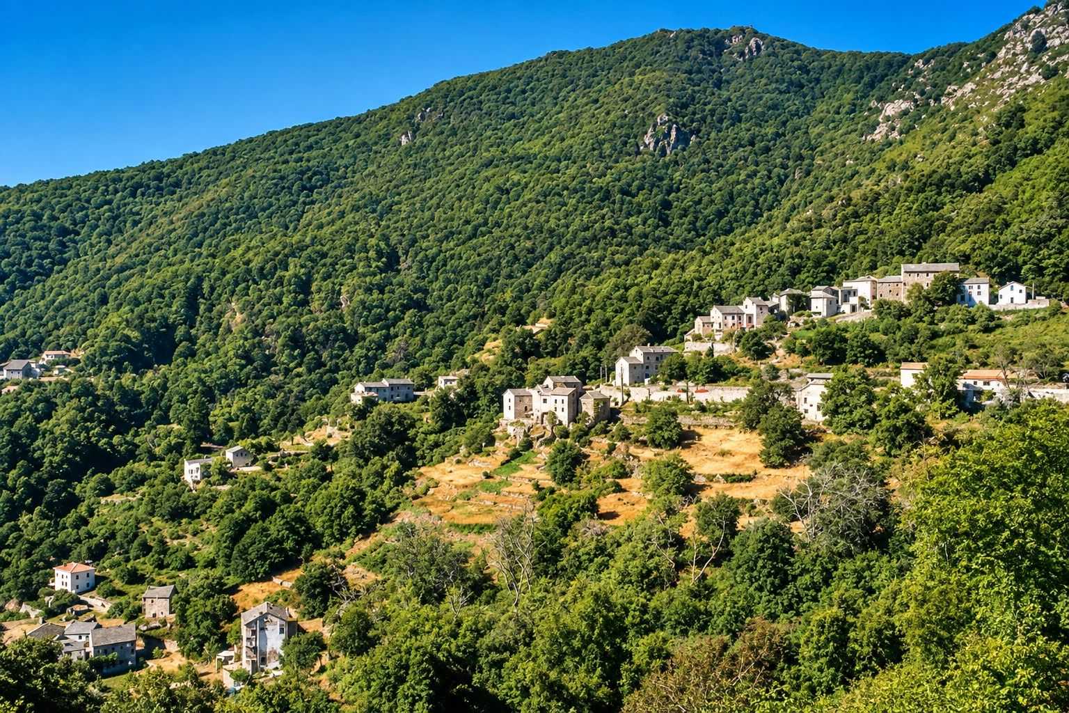 Alt à définir