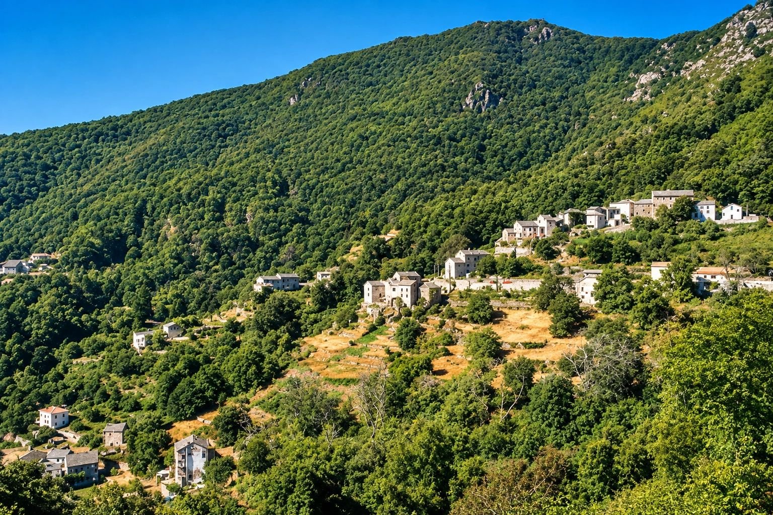 Alt à définir